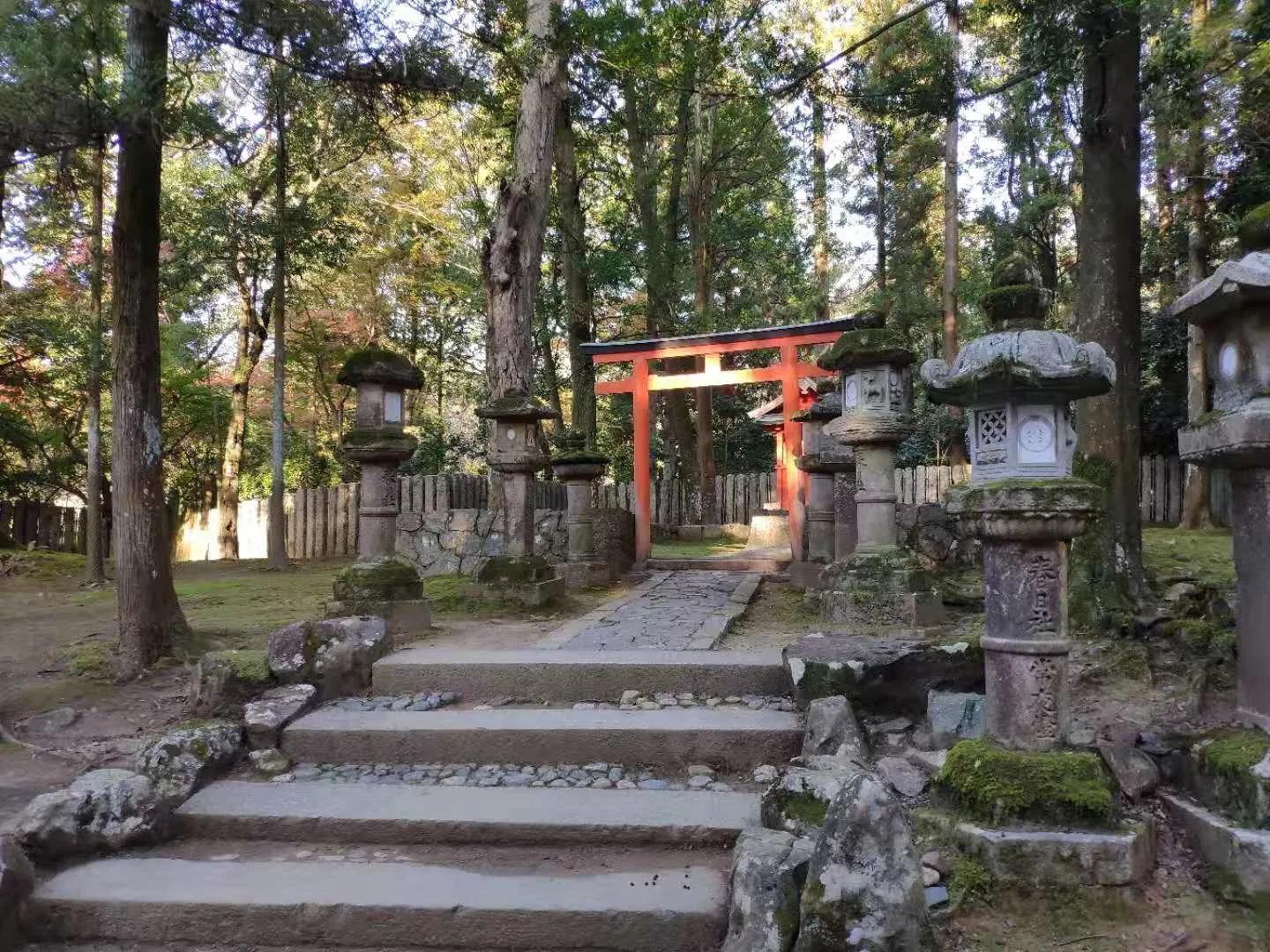 大连日语介绍,大连为什么那么重视日语