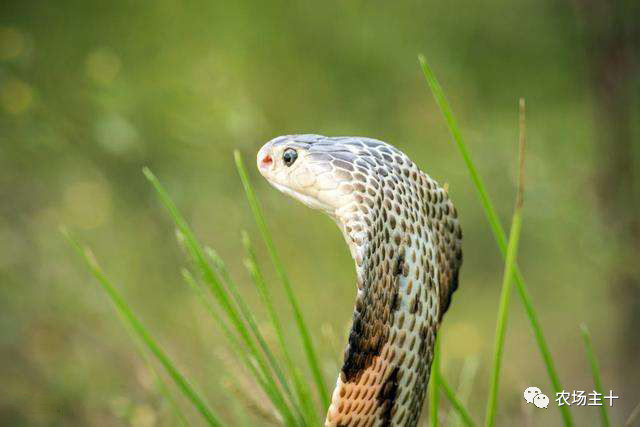 从乞丐到身价200万仅用一年时间,从乞讨到名相的传奇人生