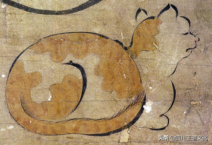 猫的故事,猫的故事视频