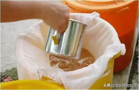 酵素制作，让厨余垃圾零废弃，秒变环保达人,内附制作方法