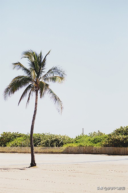 ps怎么加天空背景最自然,ps银杏树背景换天空怎么调