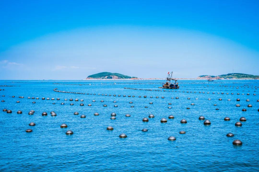 三亚和厦门哪个更值得去玩,三亚和厦门哪个更值得去游玩