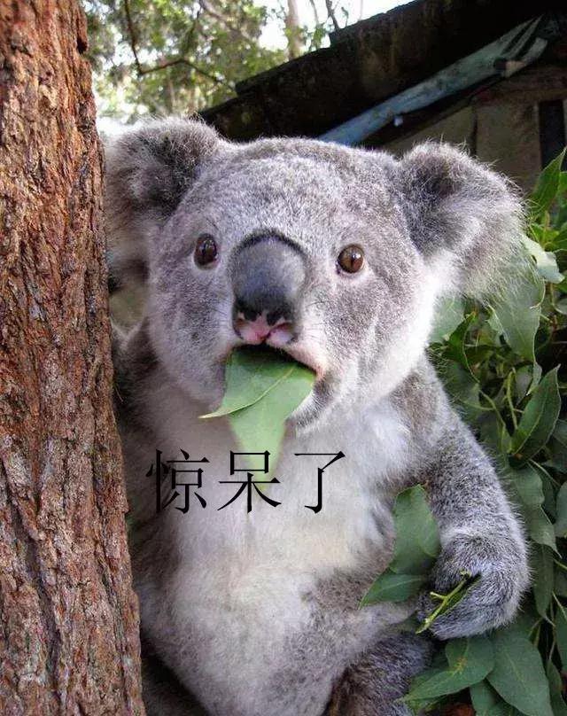 别再被忽悠了！这些国外网红产品居然全都是国产货？