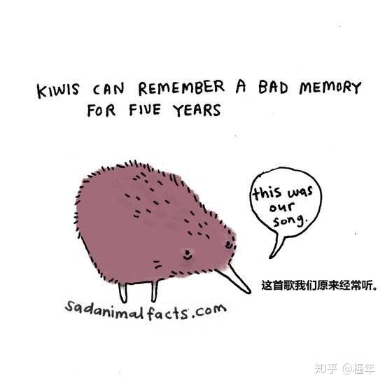 想象中不一样的动物冷知识,悲伤的动物视频