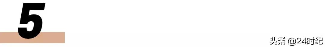 网红辛巴经历,网红辛巴是草根出身吗