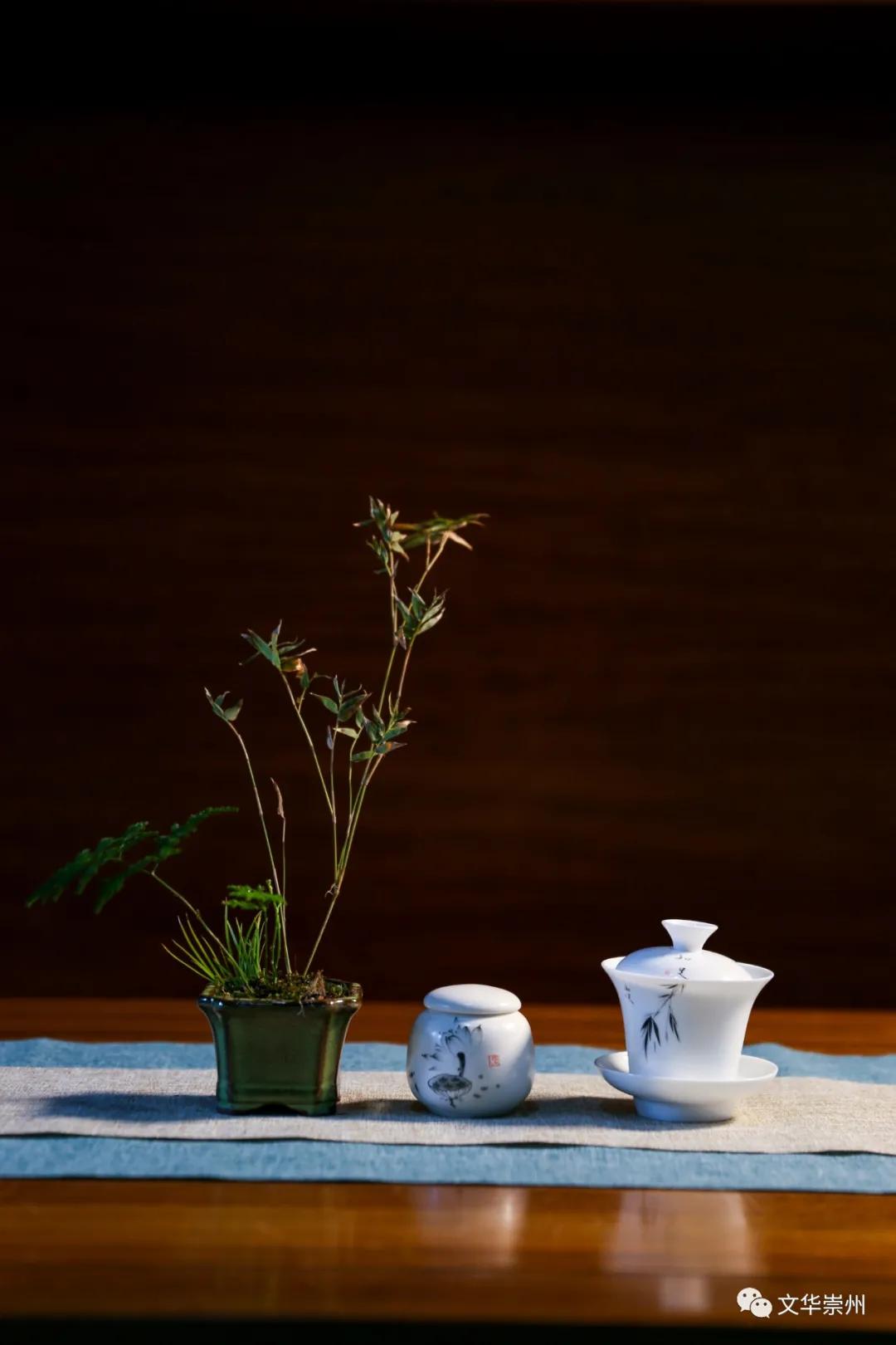 崇州罨画池春节,成都周边一日游崇州罨画池