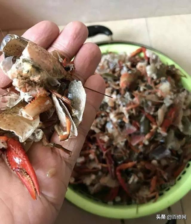 网上流传“洗衣机清洗小龙虾”？这个操作使不得，洗衣机太脏了！