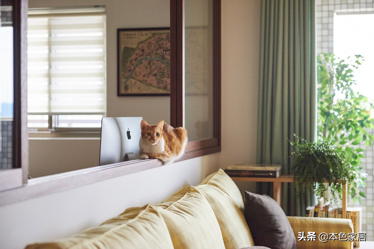 一个人住三室一厅装修,一个人住的100平一室一厅装修