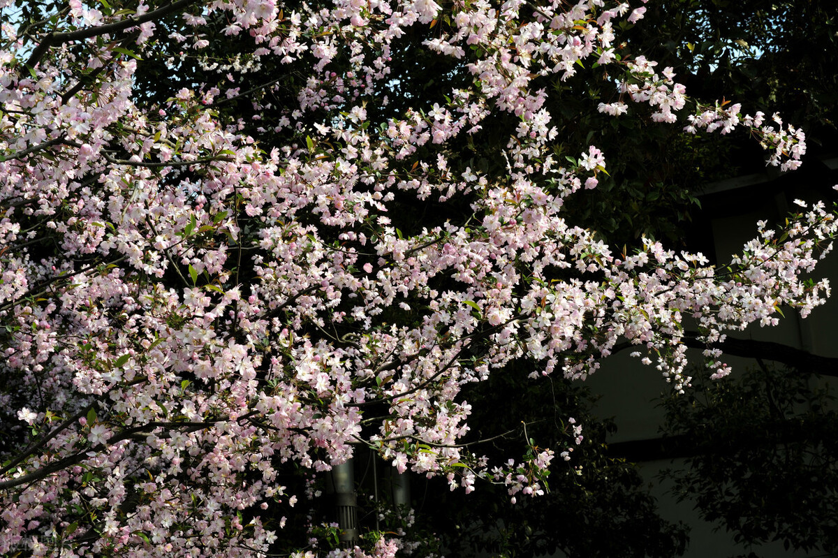 父母老了难相处怎么沟通,跟父母关系越来越差无法沟通