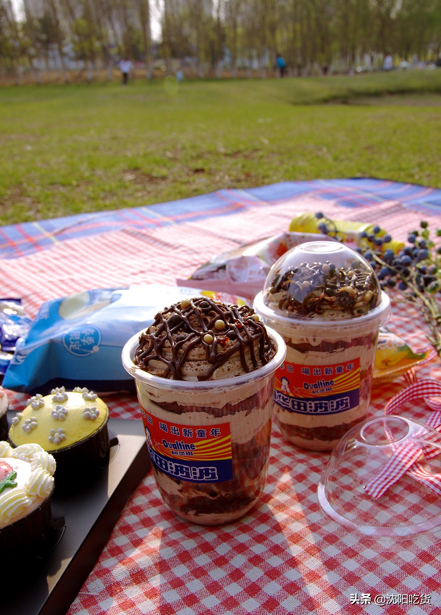 新冠大魔王还没打败，五一可别乱跑，咱就来个沈阳周边野餐郊游吧