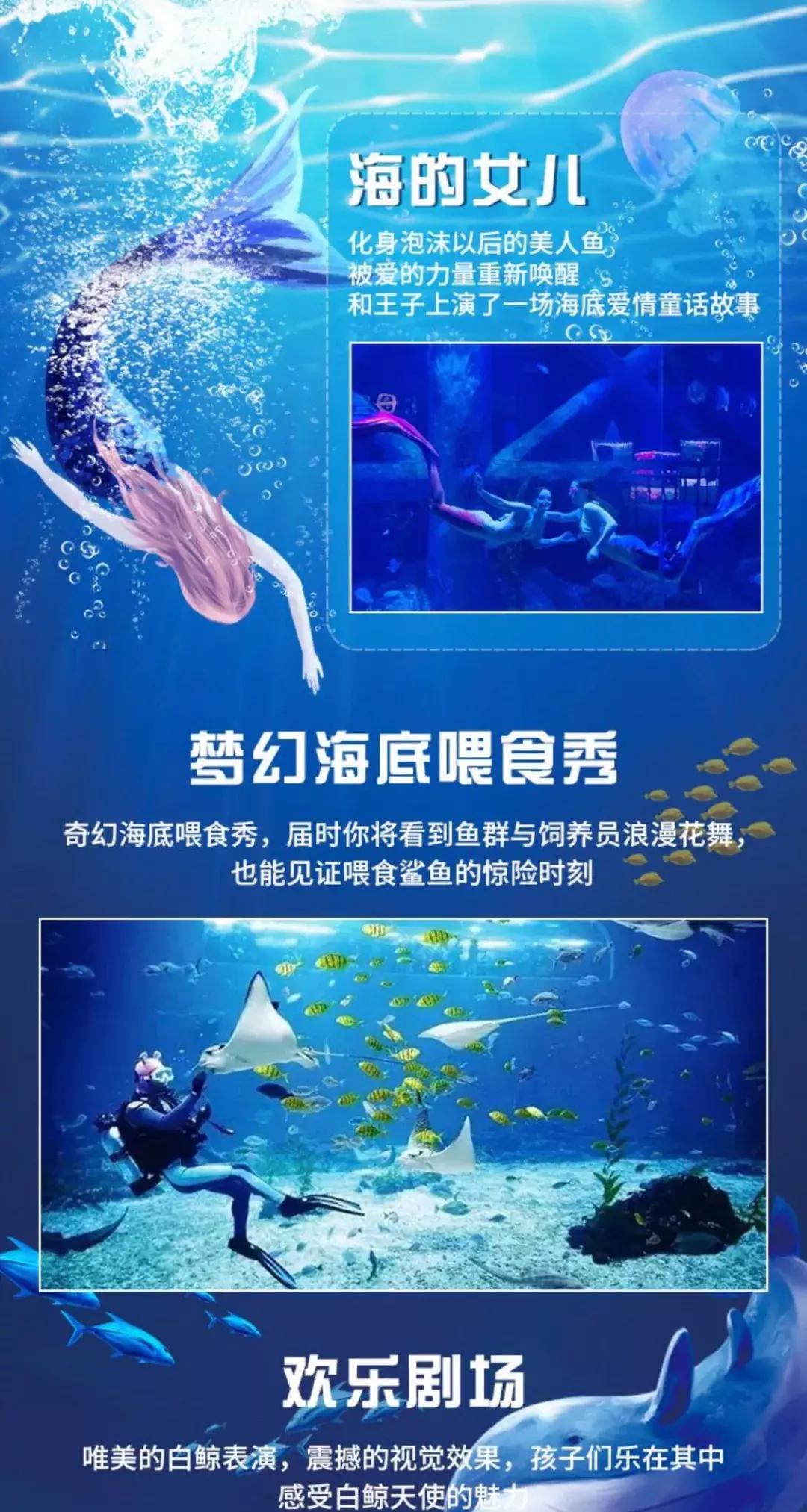 临沂极地海洋世界五一特惠,临沂极地海洋世界门票多少钱