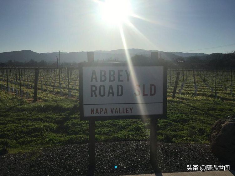 酒尽留心：谁都会有故事，酒也有关于他自己的故事