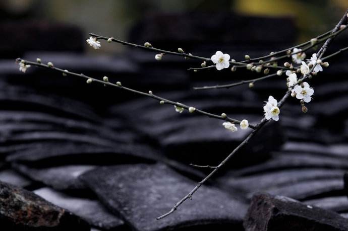 入驻天猫怎样才能成功呢,入驻天猫有什么技巧吗