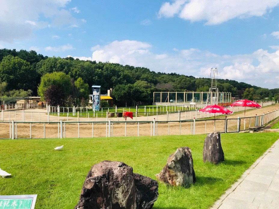 今起东北虎园大门票半价!近百种珍稀动物,带你走进现实版动物世界!