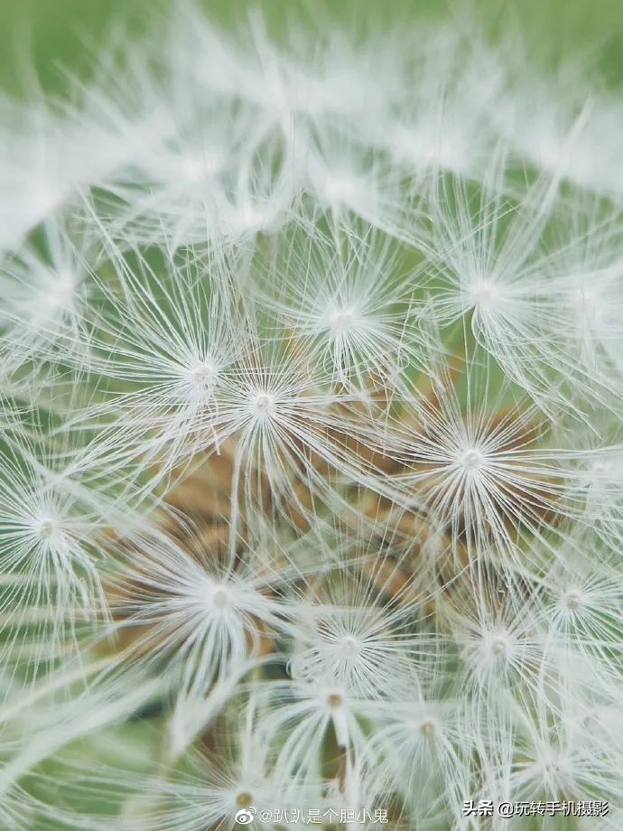 小米手机的遗憾之作,小米手机真香内行人都推荐这三款