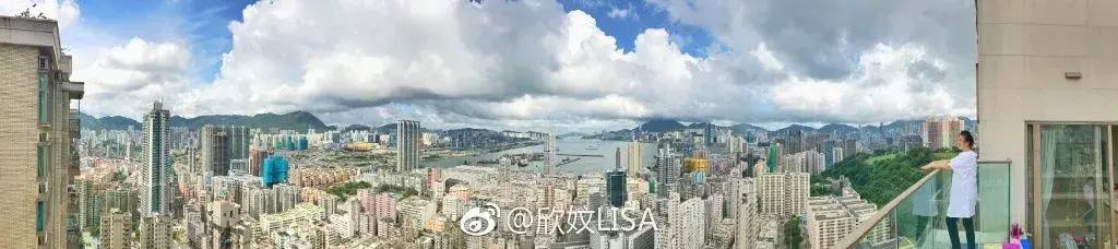 老佛爷的遗产真的由猫继承,老佛爷的所有家产最后留给了猫