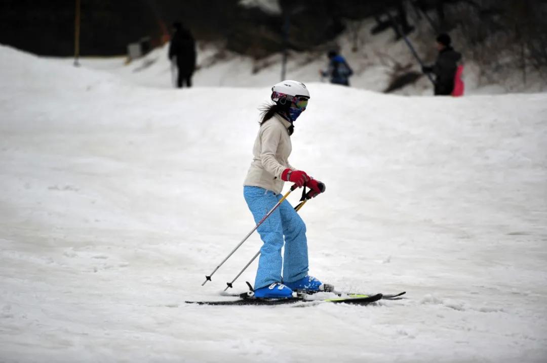 萌翻了原视频,萌翻了