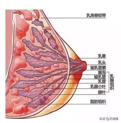 患者问乳房流血是怎么回事？高度怀疑乳腺癌