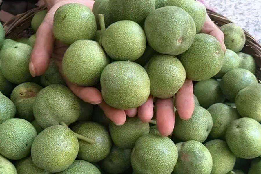 一斤3元，每年只吃3个月，去皮手染黑，一次买10斤不够吃