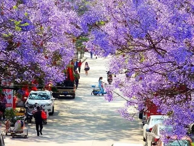 四川藏着一个静谧古城,四川被忽略的古城