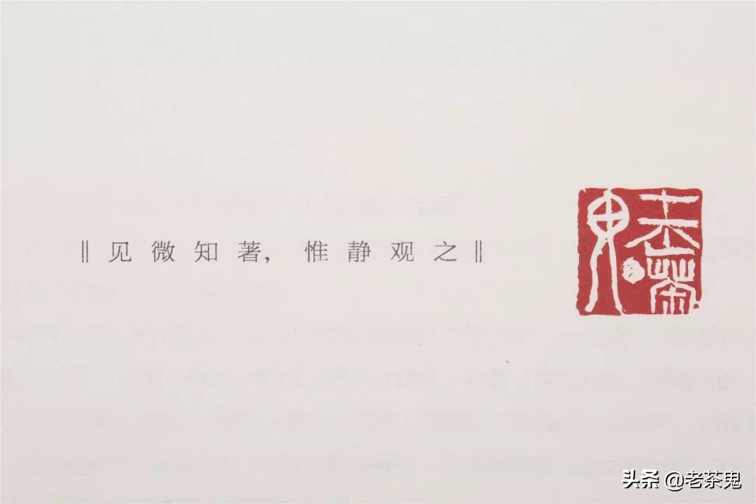 老鬼说茶玩转普洱茶,玩转普洱茶老茶鬼说茶