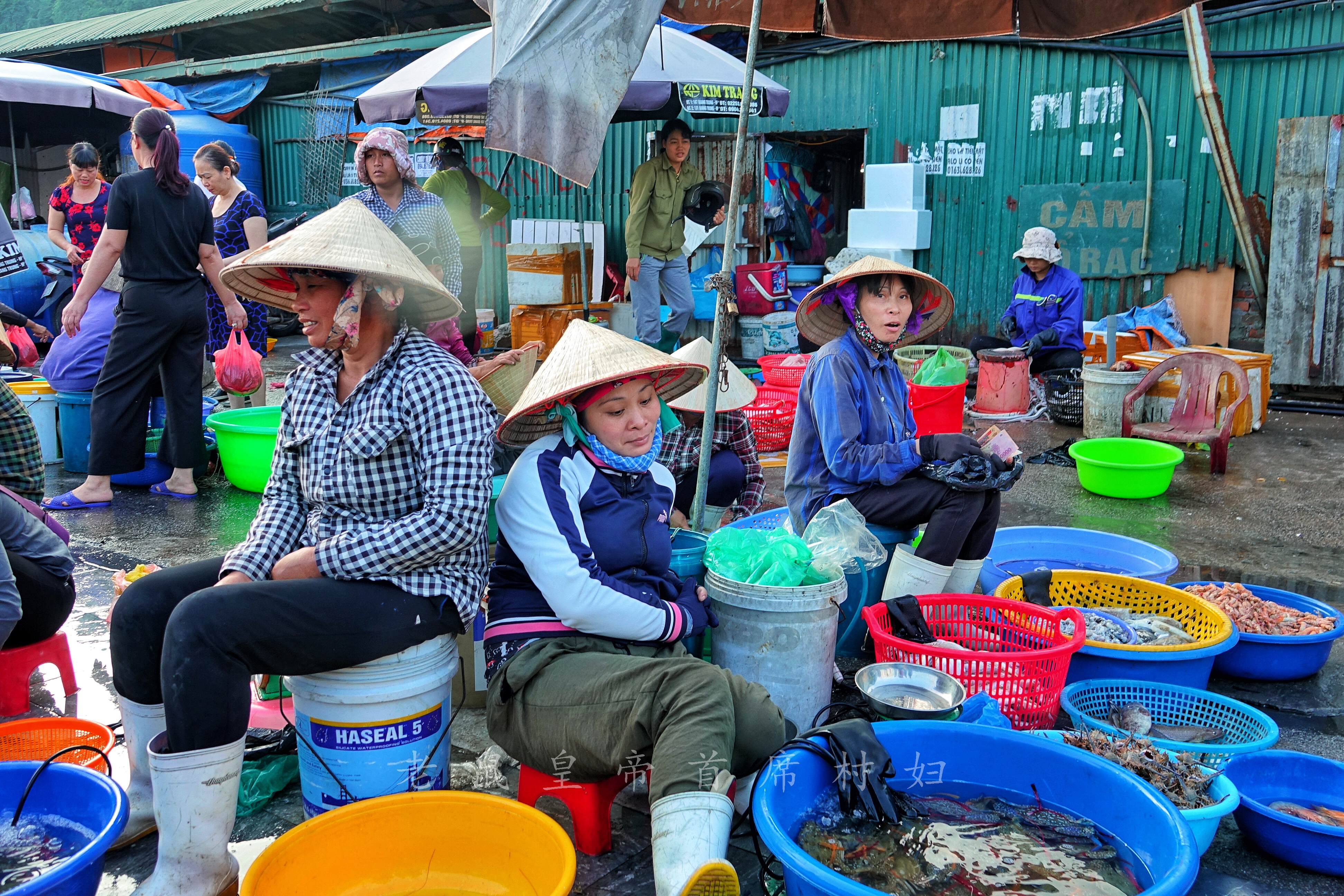 去中越边境自驾游哪一段最美,介绍中越边关地区适合自驾游景点
