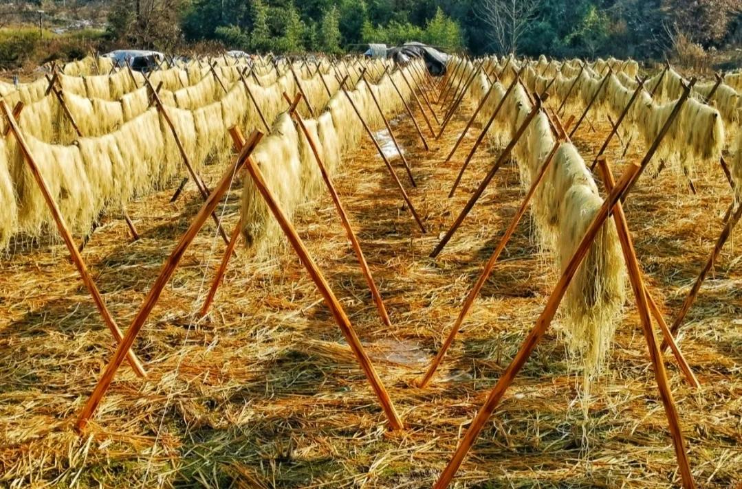 传统的粉条需要加明矾吗,手工粉条与机制粉条都加明矾吗