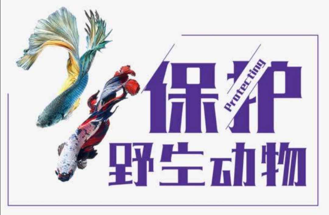 高考疫情防护怎么做题,高考疫情防控应急措施