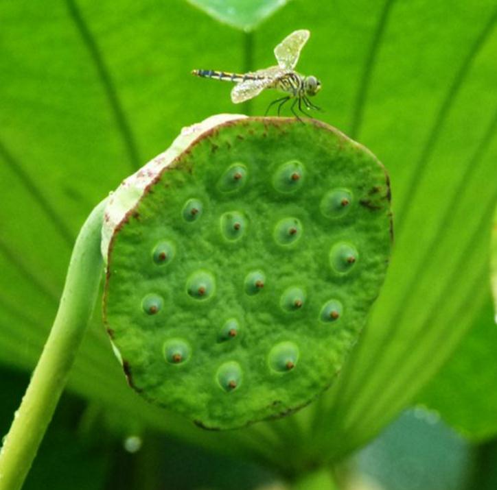 高僧说：人在红尘，这三件事看破别说破，才是真正地解脱，我懂了
