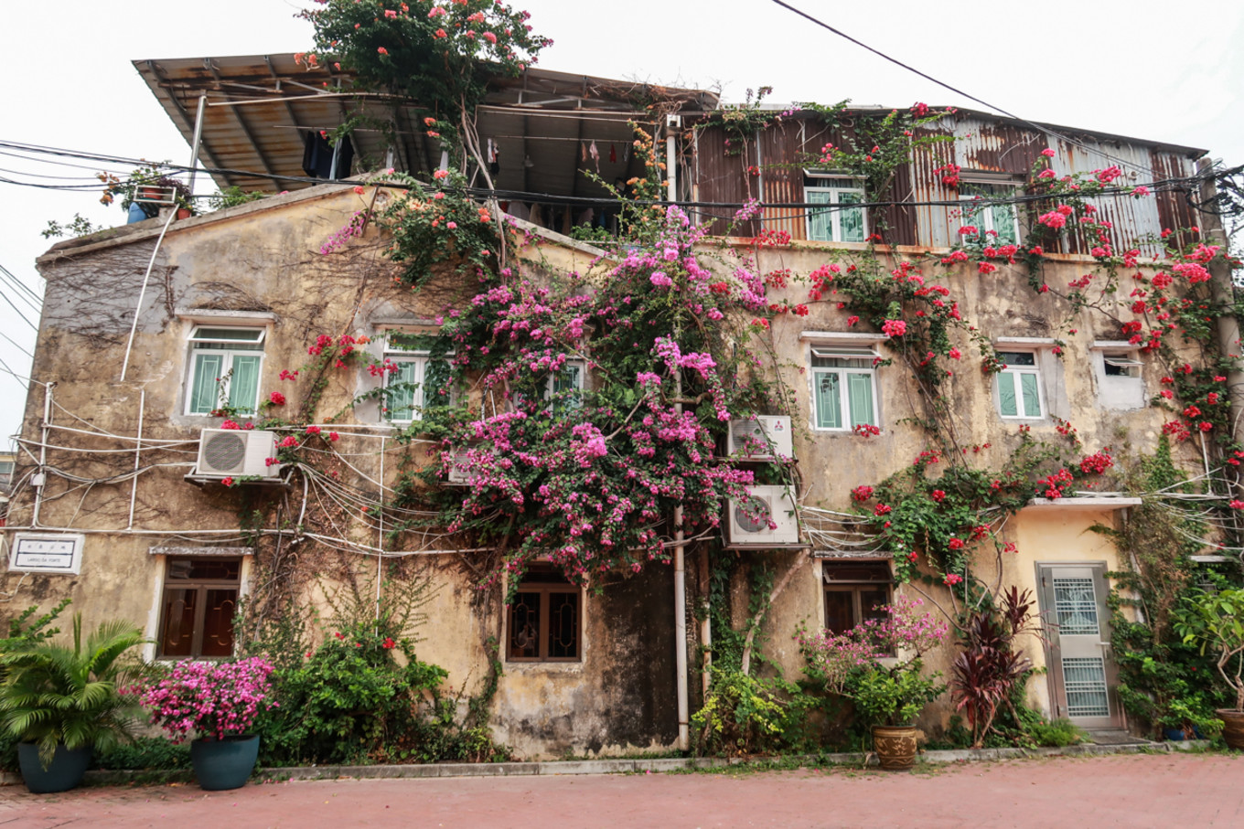 疫情隔离在家解锁新技能,澳门最新入境防控疫情措施