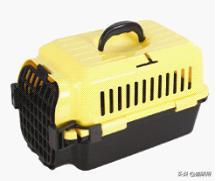 7大航空公司猫咪托运攻略,猫咪托运航空箱需要准备什么