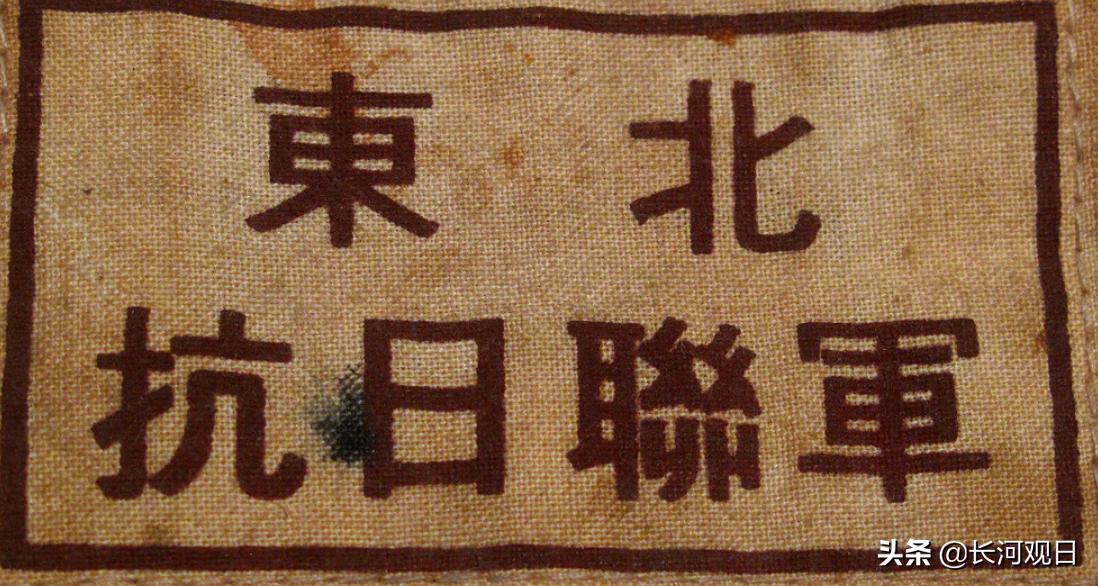 东北抗战全过程,东北抗联抗日战役艰难