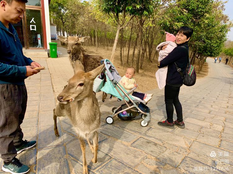 洛阳市宜阳凤凰岭射箭,宜阳县凤凰岭体育基地