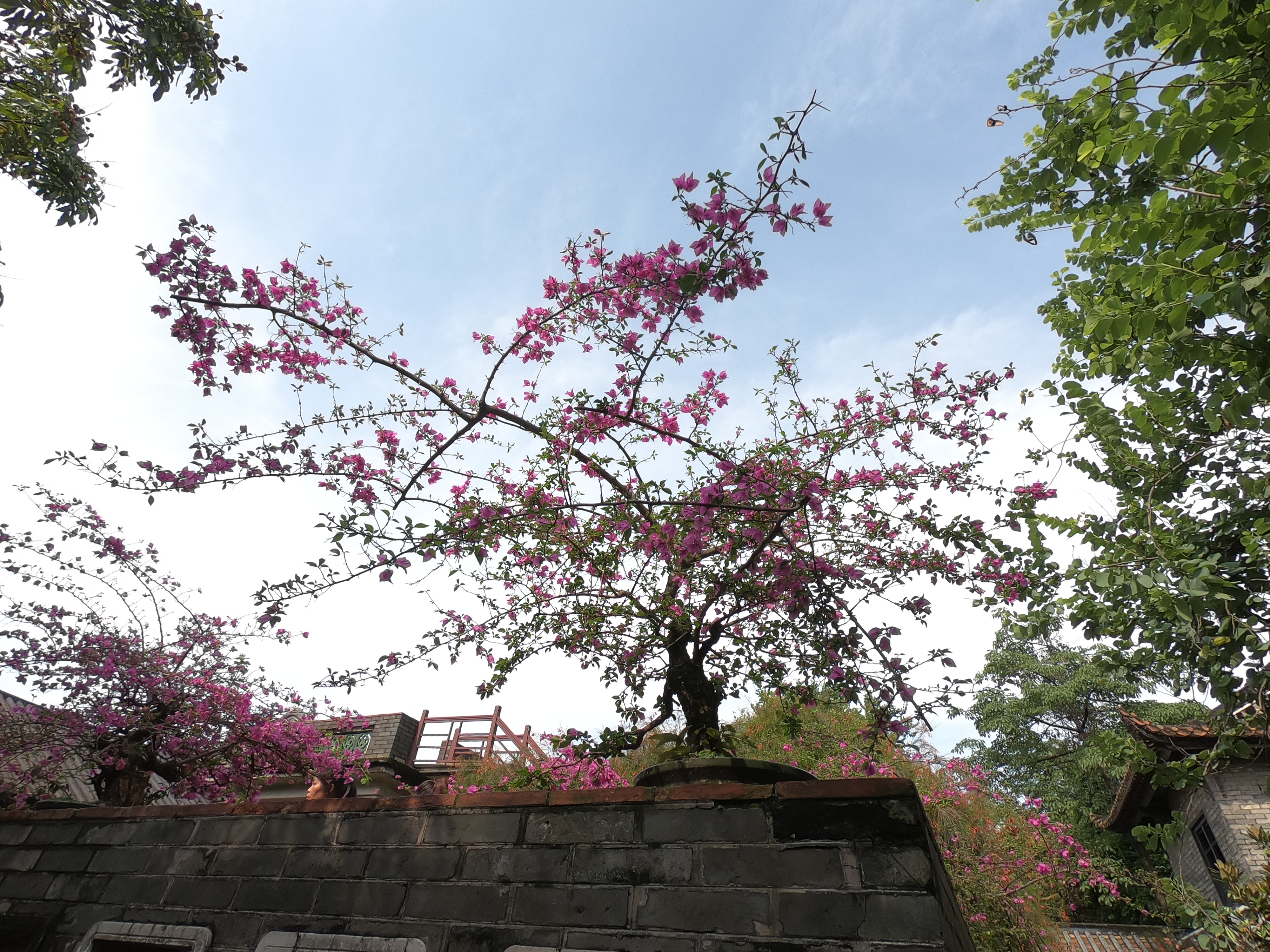 东莞不可错过的免费旅游景点,东莞不可错过的景点