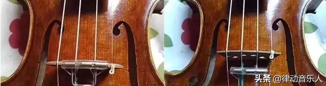 小提琴弱音器可以用什么代替,哪种小提琴弱音器效果好