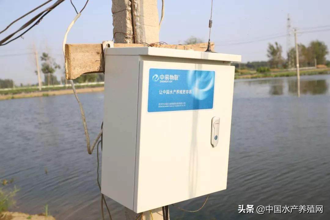 你还在守着塘口做无用功吗？渔业新时代即将到来，解放双手的同时，还能实现精准养殖