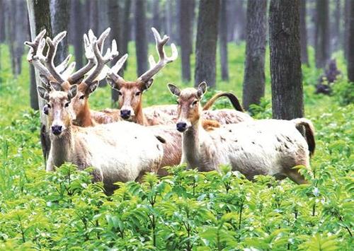 滨江巨变,滨江新城的变化