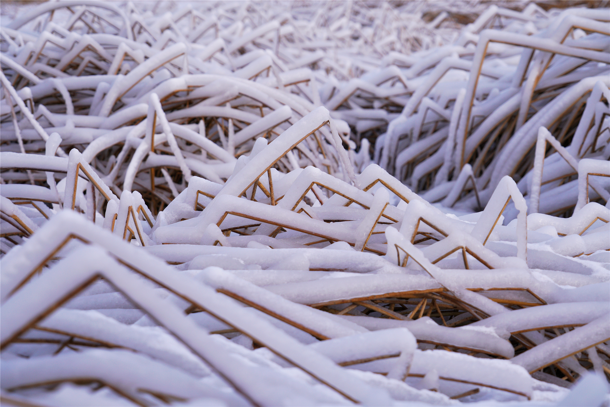 张家口冰雪旅游,张家口怀来塞外明珠