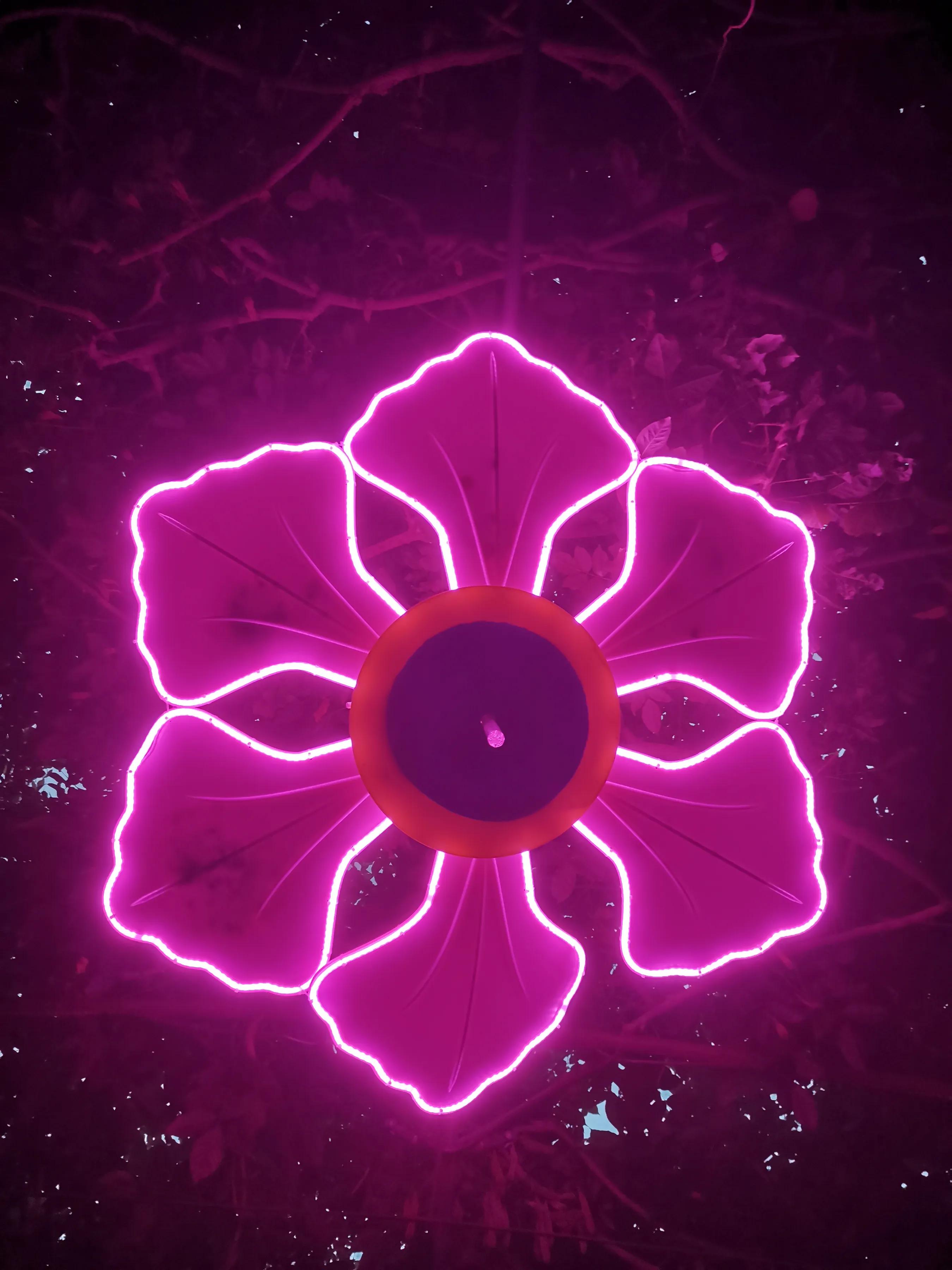 手拍世界投稿,手拍世界作品专集