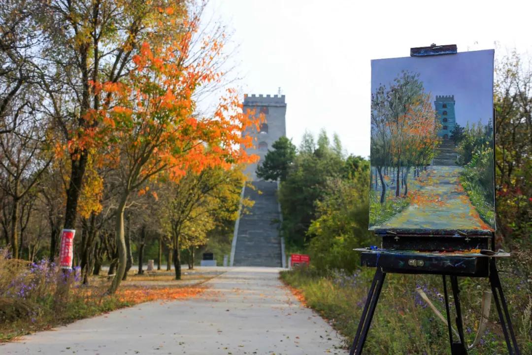 赞美庆阳的美景,庆阳的美