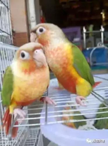 天津哏儿都的好去处,天津哏儿都