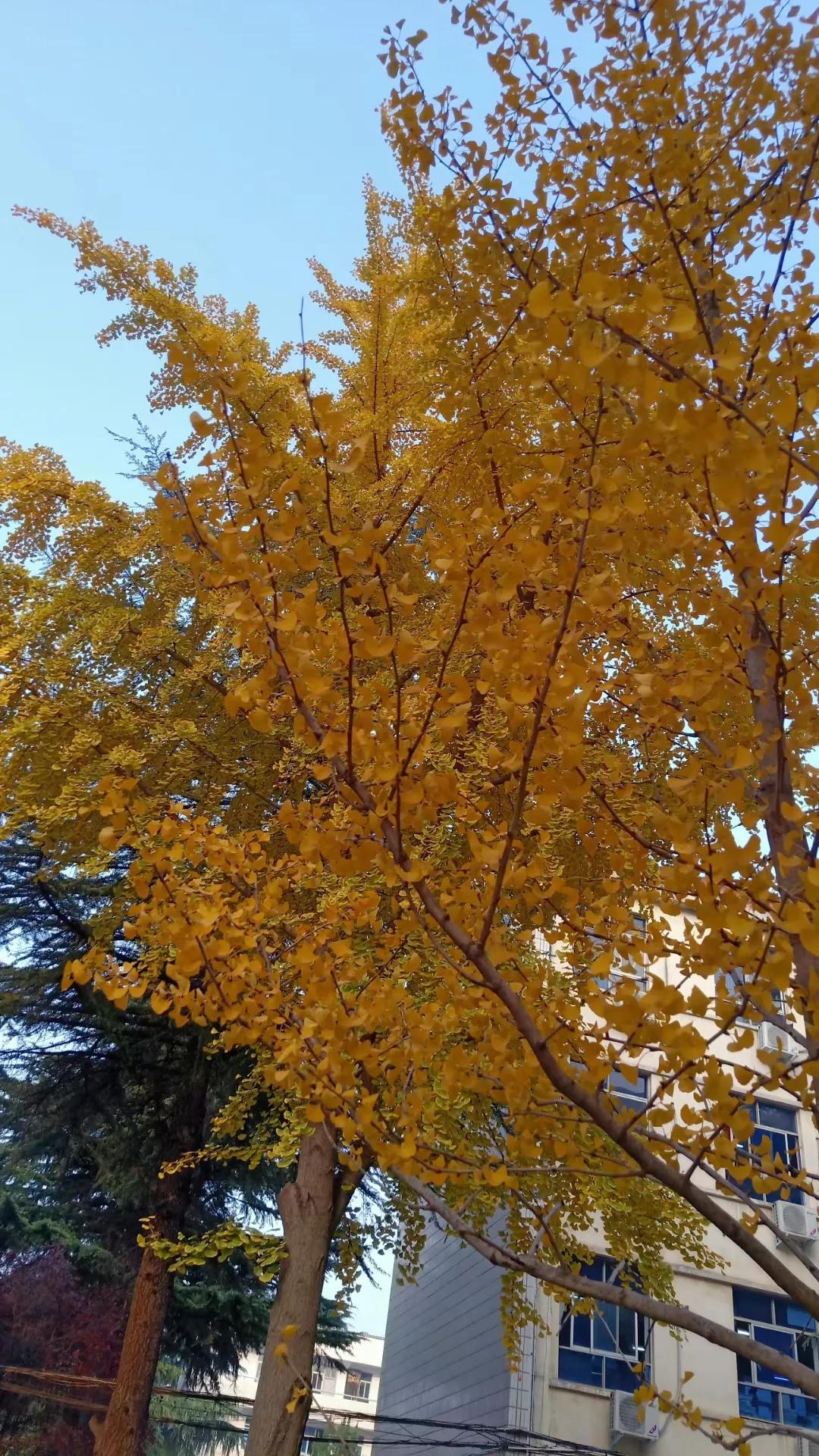 农村建房到底值不值,老家盖房值不值得