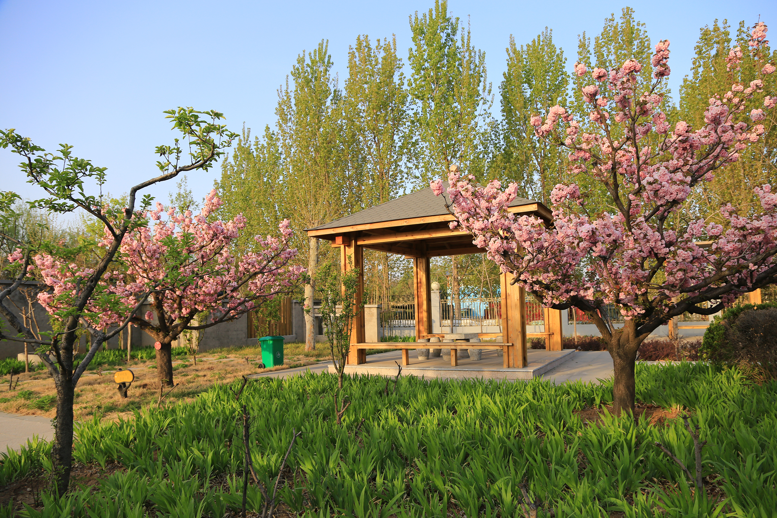 这家医院像花园——赵伟摄影、撰文