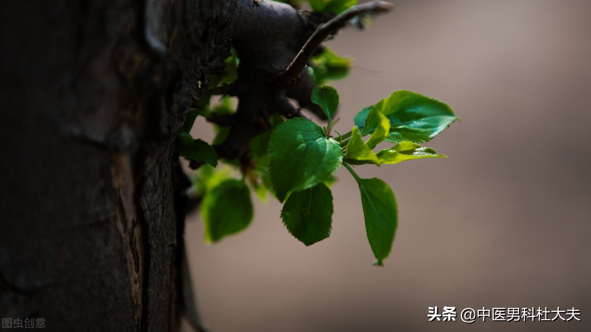 肾虚怕冷失眠盗汗脚心出汗,畏寒怕冷燥热盗汗什么原因