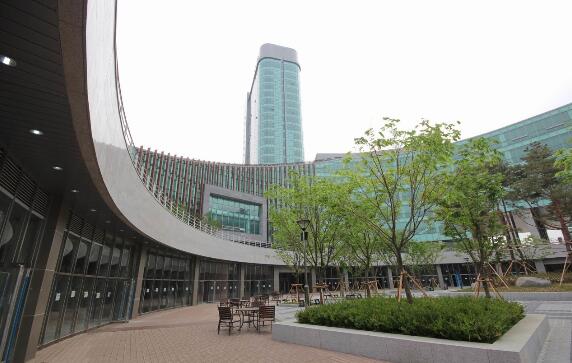 大邱加图立大学中国承认吗,韩国首尔加图立大学