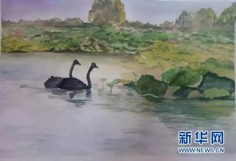 鱼鳞营养价值和做法,有鱼鳞和无鳞鱼谁的营养价值高