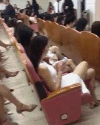 虽然她是在鄙视，不过我突然有了个大胆的想法