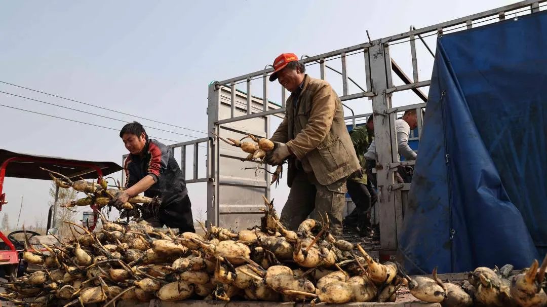 我为群众办实事怎样加强舆论宣传,我为群众办实事新媒体