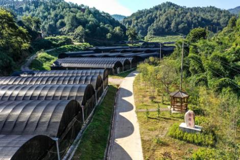 小吉小力品牌创始人,小吉小力创始人