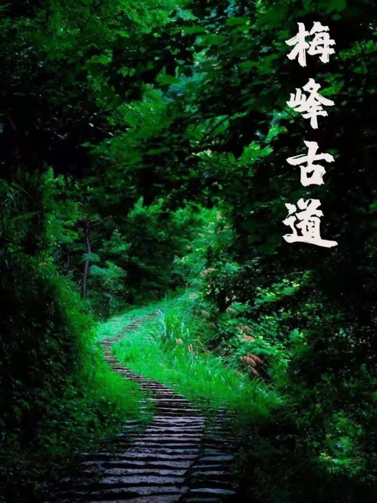 温州5个宝藏古村,温州宝藏打卡地